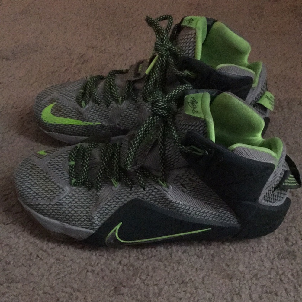 LeBron James 12 dunk man